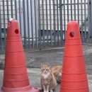 씨유 수락백억점 | 9월