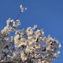 매탄로108번길 이미지