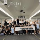 트레이닝브릿지