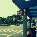 심청주유소 이미지