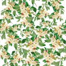 Aesthetic-Vintage-Flower-Clipart 이미지