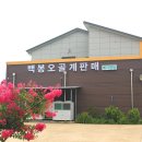 백봉오골계법인 이미지