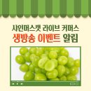 샤인커머스