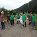 군북면 면사무소 이미지