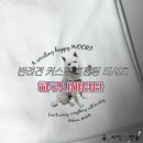 하쿠나 마타타 | 반려견 커스텀 프린팅 티셔츠, 하쿠나마타타 제작 후기
