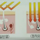 난방의 혁명 숯나노 탄소 원적외선 액자 난로 이미지