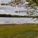 Adieu 2022 이미지