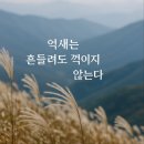 장수샘 | 장수 장안산길 / 가을의 정취를 만끽할 수 있는 억새평전을 품은 호남의 명산, 장안산(1237m)