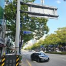 정약국 이미지