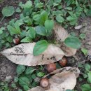 아름다운세상 이미지