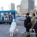 리멤버카 이미지