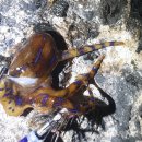 (주)파란제주 이미지