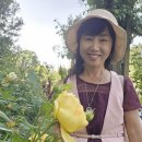 강명빌딩 민간 개방화장실 | 리젠트 파크 로즈 가든 후기 &amp; 영국 자본주의 이면 프라이빗 가든