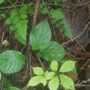 홍주대서 이미지