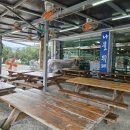 열매랑 뿌리랑 약초산나물 뷔페 이미지