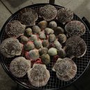 남면한의원 | 태안 소소펜션 | 제주느낌 태안 감성독채펜션. 개인바베큐