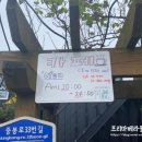 휴더파티오