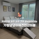 소로안펜션 | [가평 반려견 독채 펜션] &#39;가평 댕댕이 애견 펜션 퍼플&#39; 솔직후기(내돈내산)