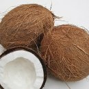 보나컴퍼니 이미지