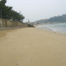 동고리해수욕장 Daum카페