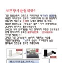 세화초등학교 병설유치원 네이버블로그