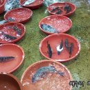 삼천포수협 앞 이미지