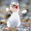 (주)레미