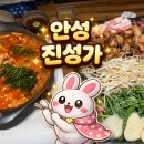 진성가