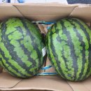 지에스(GS)25울진후포광장점 이미지