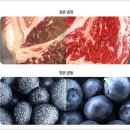 동원푸드대리점 | RM70F64M2X 삼성 비스포크 AI 하이브리드 냉장고 4도어 키친핏 맥스 푸드쇼케이스 최신상 장단점