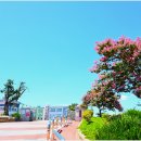 무안중학교 이미지