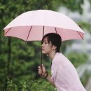 우산속으로 이미지