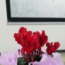 늘봄화원 이미지