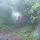 남해-남해-남해-비-5 이미지