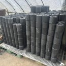 블랑쉬치과의원 이미지