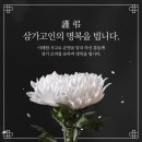 이병석태권도아카데미 이미지