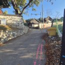 통진현감부사선정비 이미지