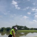 고고골프 이미지