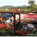 연못이 있는 풍경 이미지