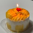 1995 | 인스타 과일맛집 1995 택배 망고케이크 먹어본 솔직후기