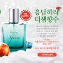 프리덤시티