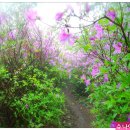 아영면 오산마을 이미지