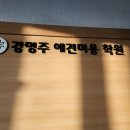 강명주애견미용학원