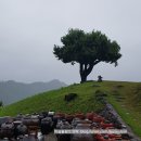 살구나무펜션민박 이미지