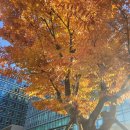 삼성알앤디캠퍼스 이미지