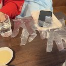 부산광역시 수영구 연수로 301   (망미동) 부산지방병무청 앞 | 수영망미 화덕피자맛집 무오베레 애견동반가능 솔직후기