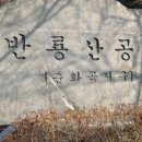 안채 율하