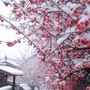 뭔 황태 덕장도 아니고 뭔 ~~ 이미지