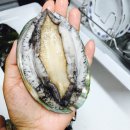 (주)비에이치인터네셔널 이미지