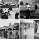 빈티지1950 이미지